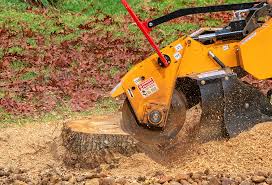 How Our Tree Care Process Works  in  Patton Village, TX